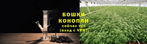 дурь Богородск