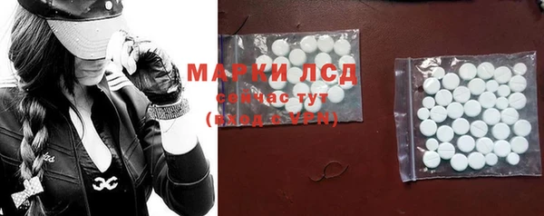 молекула духа Богданович