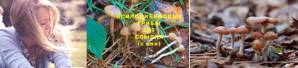 не бодяженный Богородицк