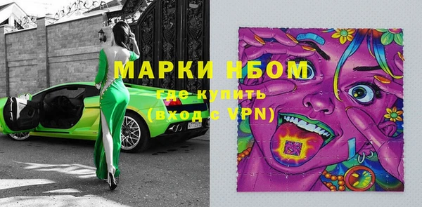 молекула духа Богданович
