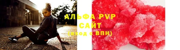 молекула духа Богданович