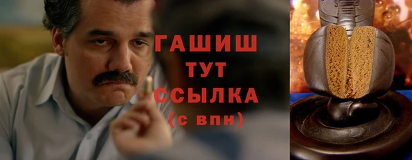 молекула духа Богданович