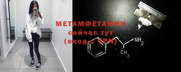 молекула духа Богданович