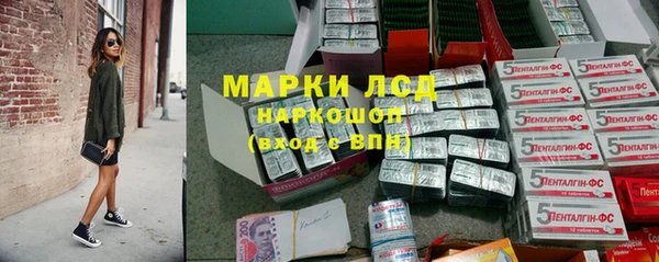молекула духа Богданович