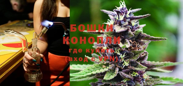 молекула духа Богданович