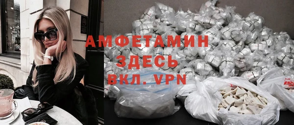 молекула духа Богданович