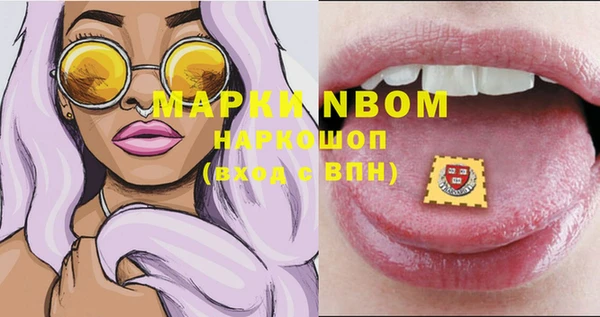 молекула духа Богданович